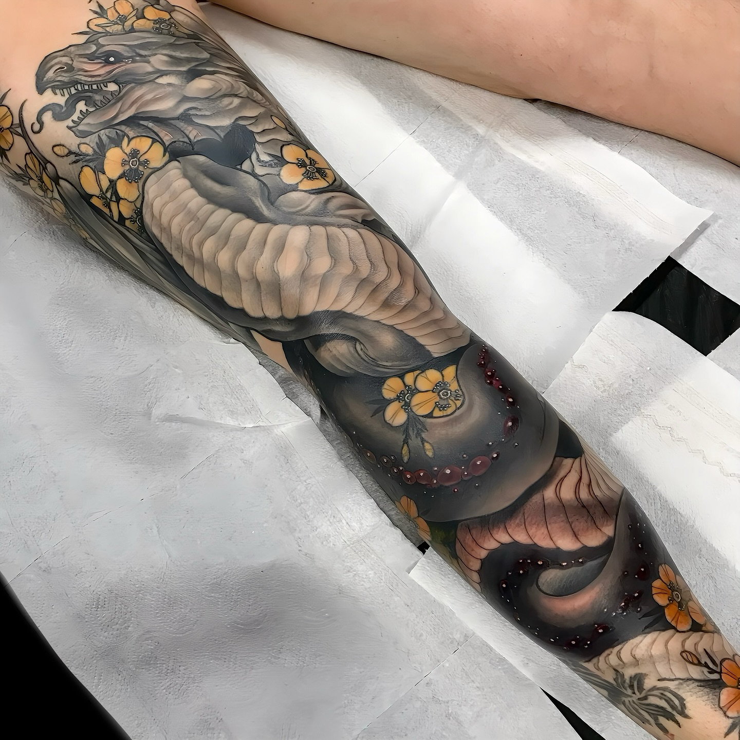 https://luckyrosetattoo.gr/wp-content/uploads/2026/03/gallery_Zinas_4.jpg